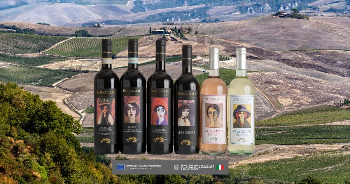 Bersaglio: A Precisão do Terroir de Montalcino na taça